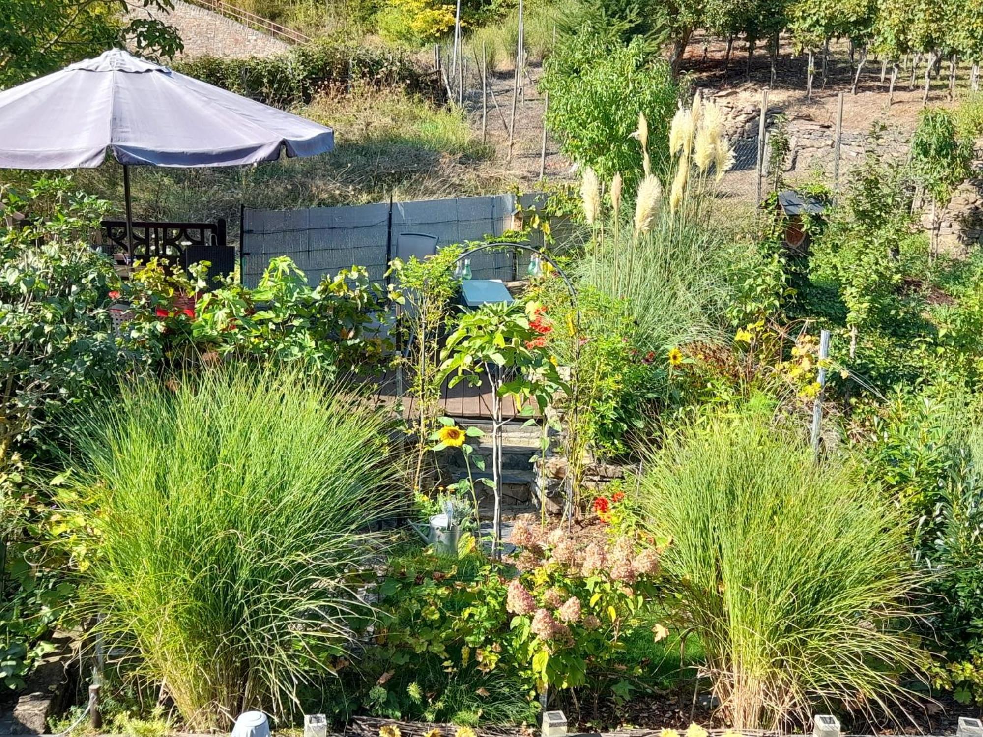 קלוטן Ferienhaus Heimes מראה חיצוני תמונה
