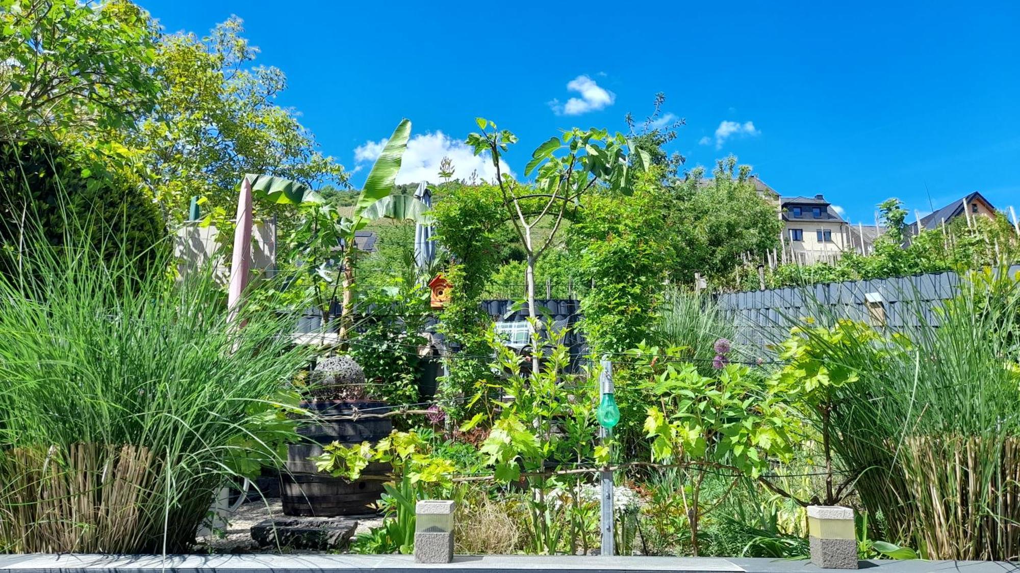 קלוטן Ferienhaus Heimes מראה חיצוני תמונה